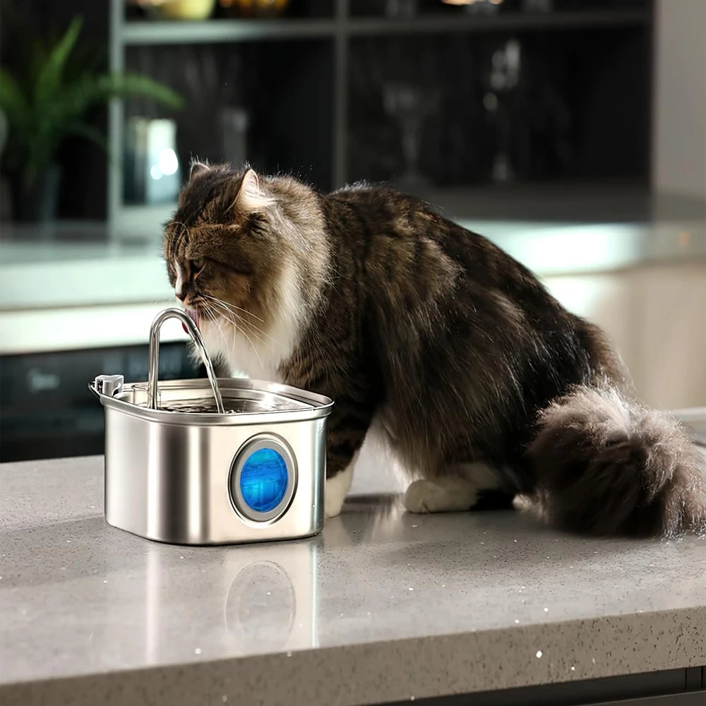 Dispensador de Água para Cães e Gatos PREMIUM 🐶🐱