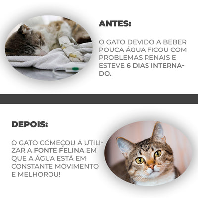 Dispensador de Água Automático para Gatos e Cães 🐶🐱